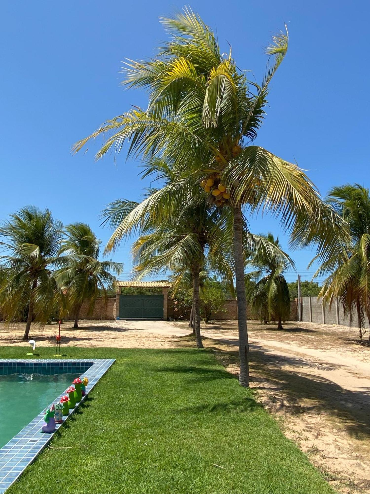 Sitio Sossego - A 5 Min Da Praia Das Fontes Beberibe Eksteriør bilde